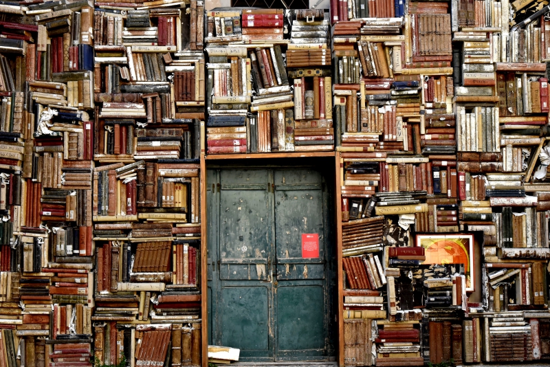 librairie-FIGANIERES-min_books-1655783